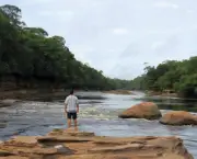 Parque Nacional do Jaú (1)