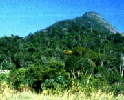 Parque Nacional do Monte Pascoal (13)