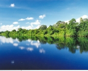 parque-nacional-do-pantanal-10