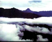 parque-nacional-do-pico-da-neblina-6