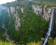Parque Nacional Serra da Bocaina (13)
