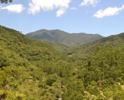 Parque Nacional Serra do Itajaí (7)