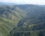 Parque Nacional Serra do Itajaí (17)