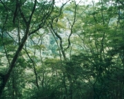 parque-nacional-serra-do-pardo-8