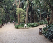 Parque Trianon (2)