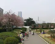 parque-yamashita-5