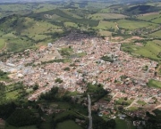 pinhalzinho-em-sao-paulo-1