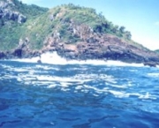 pontos-de-mergulho-em-ubatuba11