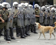 praca-syntagma4