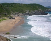Praia Brava (1)