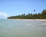 praias-de-maragogi-6