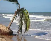 praias-em-aracaju-3
