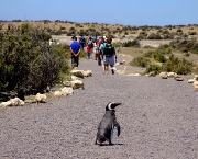 regiao-da-patagonia-10