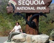 sequoia-national-park-11