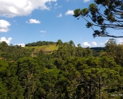 Serra da Mantiqueira (3)