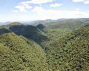 Serra de Paranapiacaba (1)