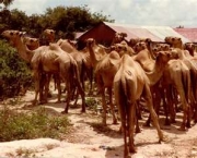 somalia-mogadiscio-6