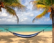 hammock and palm trees on beautiful beach in Roatan Honduras