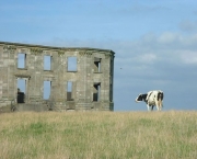 templo-mussenden-4