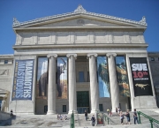 the-field-museum-of-natural-history-12