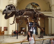 the-field-museum-of-natural-history-6