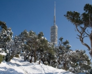 torre-de-collserola13