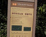 Trilha do Rio Taquaral (1)