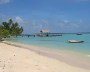 trinidad-e-tobago-13