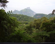 turismo-ecologico-no-brasil-parque-nacional-da-tijuca-3