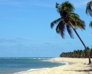 turismo-em-alagoas-10