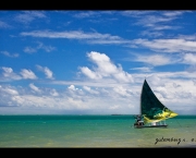 turismo-em-alagoas-4