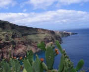 turismo-na-ilha-da-madeira-familia-2