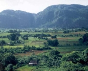 vale-de-vinales3