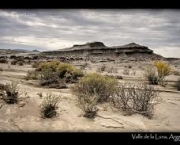 foto-valle-de-la-lena-argentina-07