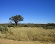 viagem-namibia-05
