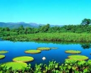 foto-visitando-o-pantanal-02