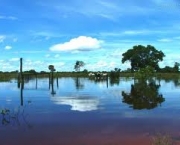 foto-visitando-o-pantanal-03