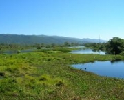 foto-visitando-o-pantanal-09