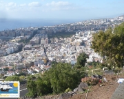 visite-a-ilha-de-tenerife5