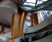 Walt Disney Concert Hall (14)