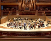 Walt Disney Concert Hall (15)