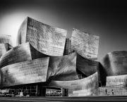 Walt Disney Concert Hall (16)