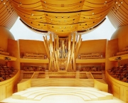 Walt Disney Concert Hall (18)