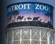 zoologico-de-detroit-8