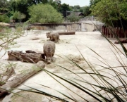 zoologico-de-san-antonio-12