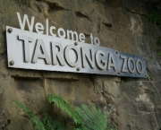 zoologico-taronga12