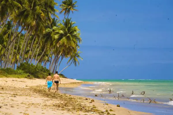 Praia do Patacho, São Miguel dos Milagres, Alagoas