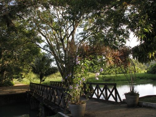 Jardim Botânico Benjamim Maranhão