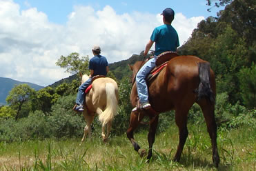 Passeios À Cavalo