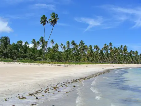 Costa dos Corais